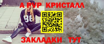 гидра Гагарин