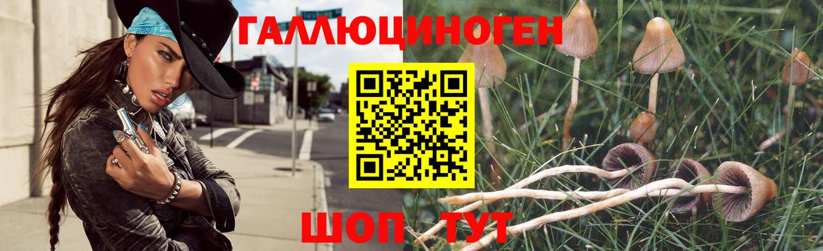 Галлюциногенные грибы MAGIC MUSHROOMS  Псилоцибиновые грибы мухоморы  Вход с VPN  Мурманск 